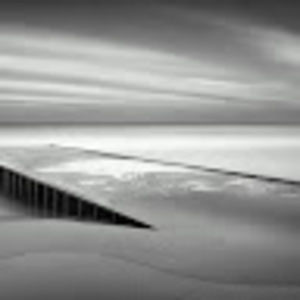 Meet your Posher, Markisha